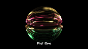 fisheye