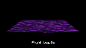 flight_loop3s