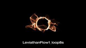 leviathanflow1_loop8s