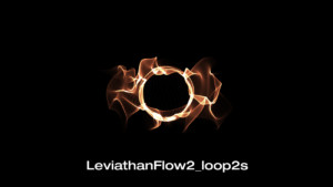 leviathanflow2_loop2s