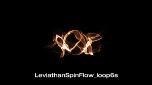 leviathanspinflow_loop6s