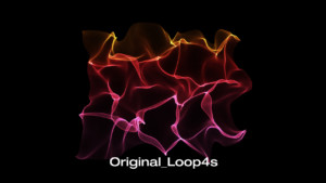 original_loop4s