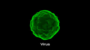 virus
