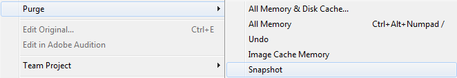Purge After Effects Snapshot