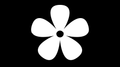 Fan Blades